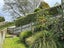 84F Horsham Downs Road, Rototuna North, Hamilton - Carousel 19