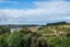 6 Blanc Avenue, Fairfield, Dunedin - Carousel 16