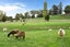 16 Waipuna Road, Waerenga - Carousel 5