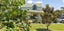 317 Parapara-Toatoa Road, Taipa - Carousel 2