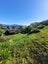 15 Edgecombe Street, Newlands, Wellington - Carousel 11