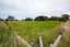 657 Domett Road, Domett, Cheviot - Carousel 42