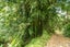 189 Waikino Road, Karetu, Kawakawa - Carousel 18