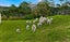 291 Paremoremo Road, Paremoremo, Auckland - Carousel 19