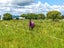54 Arawa Street, Pipiroa, Ngatea - Carousel 23