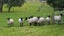 92 Hickman Road, Onaero, Urenui - Carousel 31