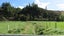 3957 Northbank Road, North Bank, Wairau Valley - Carousel 16