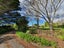 1124 Sandspit Road, Sandspit, Warkworth - Carousel 20