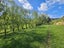 9 Buckley Road, Shannon, Palmerston North - Carousel 7