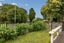 29A Argyll Road, Greerton, Tauranga - Carousel 3