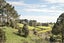 0 Runciman Road, Ramarama, Drury - Carousel 12
