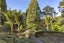200 Godley Road, Titirangi, Auckland - Carousel 28