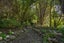 205 Okuti Valley Road, Little River, Little River - Carousel 22