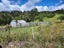 99 Mangamanihi Road, Kaeo - Carousel 20