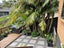 30A Mili Way, Ranui, Auckland - Carousel 12