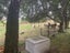 42 Pounawea Road, Owaka - Carousel 21