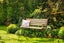 31 No 1 Road, Te Puke, Te Puke - Carousel 39