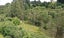 0 Pahiatua Mangahao Rd, Mangamutu, Pahiatua - Carousel 8