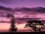 406 Tararu Sh25 Road, THAMES, Thames - Carousel 18
