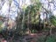 1022 Fairdown Road, Fairdown, Westport - Carousel 11