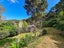 498 Wyuna Bay Road, Wyuna Bay, Coromandel - Carousel 3