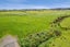 7104 South Road, Warea, New Plymouth - Carousel 21