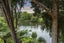 91A Ngapuhi Road, Remuera, Auckland - Carousel 29