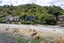 12 Owhiro Bay Parade, Owhiro Bay, Wellington - Carousel 20