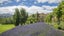 196 Lower Shotover Road, Speargrass Flat, Queenstown - Carousel 1