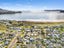 312 Cook Drive, Whitianga, Whitianga - Carousel 7