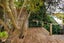 25 Galway Avenue, Hokowhitu, Palmerston North - Carousel 24