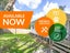 147 Lancaster Road, Beach Haven, Auckland - Carousel 1