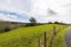 2778 Mountain Road, Midhirst, Stratford - Carousel 30