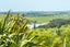 91 Whaka Street, Maungaturoto, Maungaturoto - Carousel 8