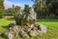 56 Forest View Road, Kamo - Carousel 32