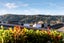 7 Nobilo Road, Kumeu - Carousel 5