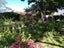 224 Union Street, Milton, Milton - Carousel 22