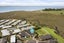 23 Preston Drive, Katikati, Katikati - Carousel 31