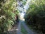 304 Mokihinui Preserve, SEDDONVILLE, WESTPORT - Carousel 15