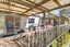 44B Cross Street, Raglan, Raglan - Carousel 4