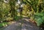66 Kent Terrace, Midhirst, Stratford - Carousel 29