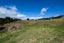 7 Sunrise Place, Cable Bay - Carousel 11
