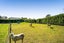 1108C Egmont Road, Egmont Village, New Plymouth - Carousel 27