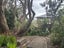20 Carlton Crescent, Maraetai, Auckland - Carousel 2