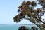 29 Kennedy Point Road, Surfdale, Waiheke Island - Carousel 32
