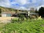 2411 Coast Road, Pongaroa - Carousel 8