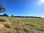 276B Jacks Bay Road, Owaka - Carousel 16