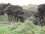 65 Waikupa Road, Okoia, Whanganui - Carousel 12