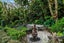 50 Scarborough Terrace, Parnell, Auckland - Carousel 17