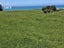 38 Taieri Beach Road, TAIERI BEACH, TAIERI MOUTH - Carousel 11